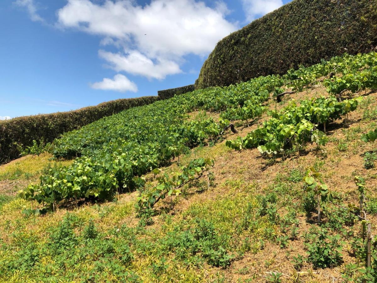Willa Quinta Do Pico Ponta Delgada Zewnętrze zdjęcie